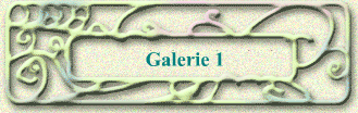Galerie 1